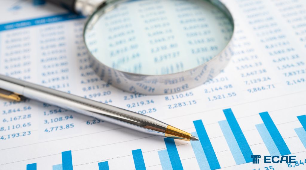 Experto en Planillas