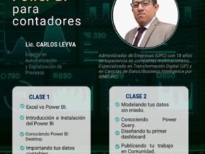Imagen1V