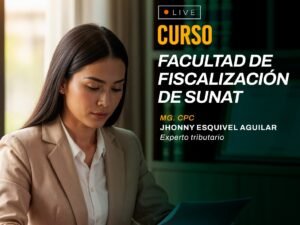 Facultad de fiscalización