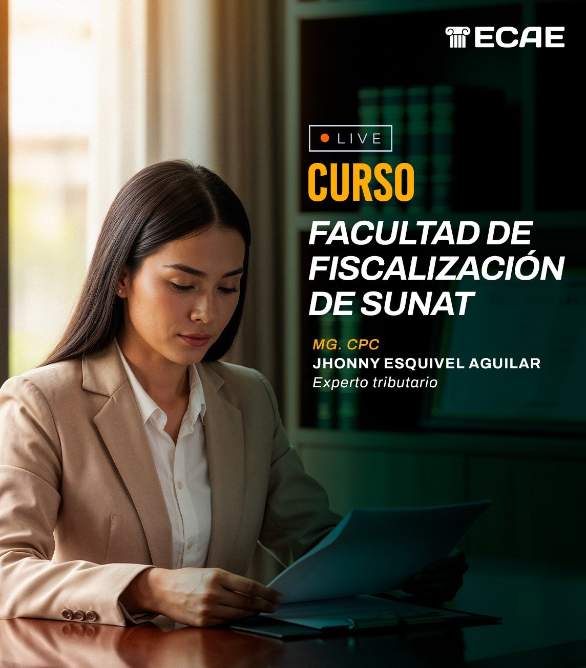 Facultad de fiscalización