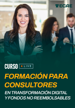 imagendestacada_Formacionparaconsultores